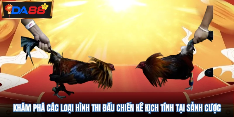 Khám phá các loại hình thi đấu chiến kê kịch tính tại sảnh cược